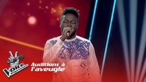 MR Fenu - Lovinjitis | Les Auditions à l’aveugle | The Voice Afrique Francophone| Saison 3