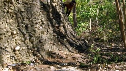 무주출장서비스 무주출장서비스O7Ox5180x1616 {카톡MS59}  무주출장마사지샵 무주출장안마on무주출장안마cos여3♪⇔∃마사지황형♥◉≪