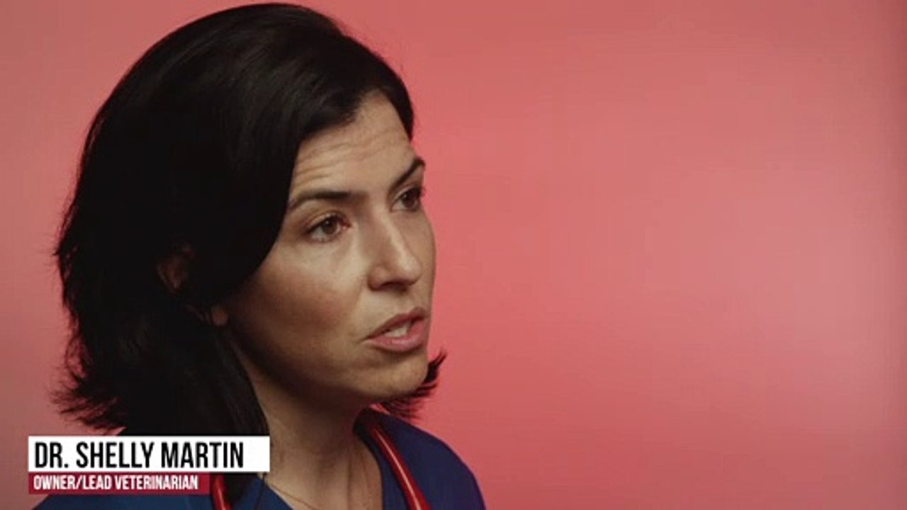 Pet Wellness Exams & Preventative Care | Tucson, AZ | Desert Paws Mobile Veterinary Care