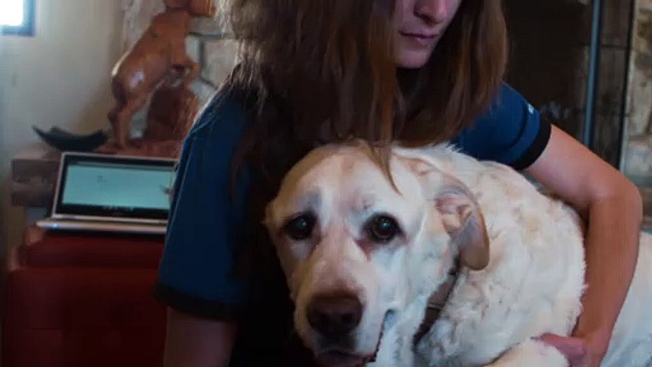 Client Testimonial: Suzanne H. | Desert Paws Mobile Veterinary Care in Tucson