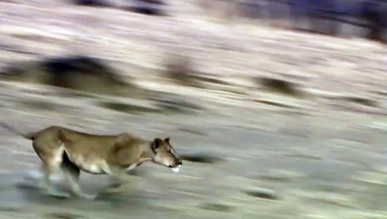 영암추천업소【OI0↔29O8↔68O③】영암추천업소예약♥∑≪