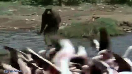 영암출장서비스 영암출장서비스O1OE2541E2560｛카톡YTN9｝ 영암출장마사지샵 영암출장안마on영암출장안마cos여3♪⇔∃마사지황형♥≑≪