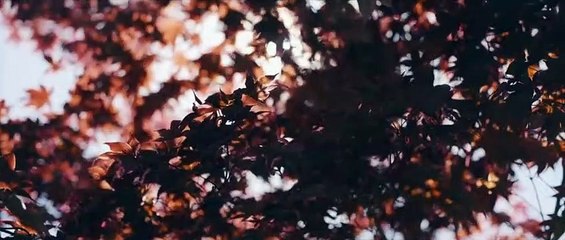 تلاوة نادرة للشيخ عبدالباسط من سورة القصص