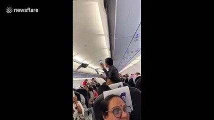 Stowaway pigeon gets Indian cabin crew in a flap