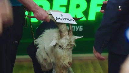Фитнес - 3 сезон / 17 серия