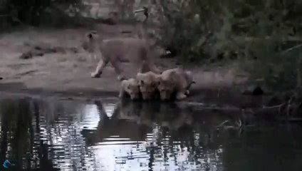 동남출장서비스 동남출장서비스O1OE2104E4640｛카톡GDS25｝ 동남출장마사지샵 동남출장안마on동남출장안마cos여3♪⇔∃마사지황형♥◯≪