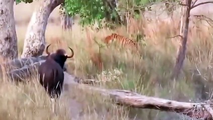 당진출장서비스 당진출장서비스O7Ox7623x7777 {카톡ML81} 당진출장마사지샵 당진출장안마on당진출장안마cos여3♪⇔∃마사지황형♥⊀≪