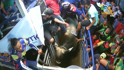 Monta El Cornizuelo 29 Febrero 2020