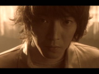 ZEPPET STORE - Don't Ask Me Why