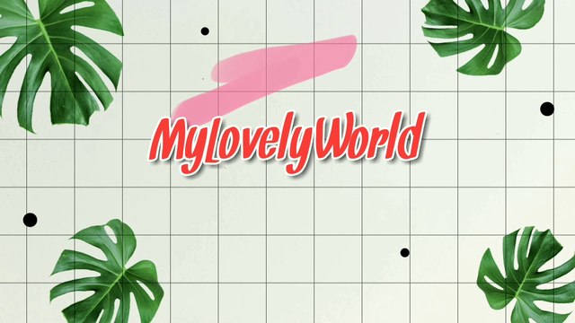 Purplle.com Haul Makeup and Skin care products| Affordable Haul |MyLovelyWorld