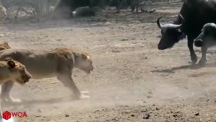 성북출장서비스 성북출장서비스O1Og2118g2518｛카톡KTX53｝ 성북출장마사지샵 성북출장안마on성북출장안마cos여3♪⇔∃마사지황형♥≶≪