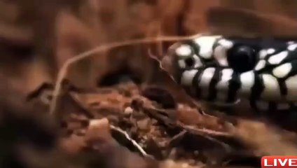 야탑출장서비스 야탑출장서비스O1OE2104E4640｛카톡YOK88｝ 야탑출장마사지샵 야탑출장안마on야탑출장안마cos여3♪⇔∃마사지황형♥≚≪