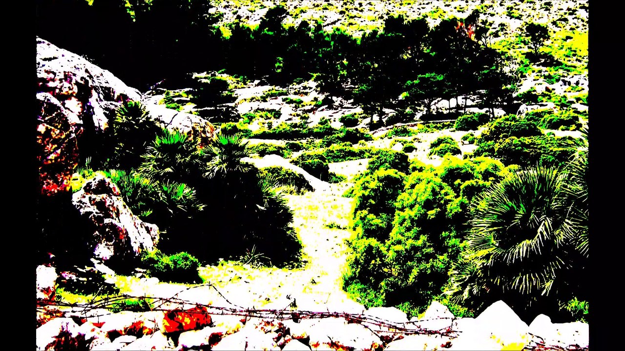 Fast Trip - Mallorca 2007 /Full Film/Complete Movie/Ganzer Film