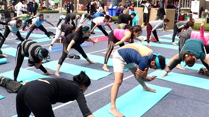 Скачать видео: International Yoga Week 2020: योग करने से पहले जरुर रखे इन बातों का ध्यान । Boldsky