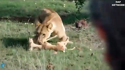 순창출장서비스 순창출장서비스O1OE2541E2560｛카톡KGB8｝ 순창출장마사지샵 순창출장안마on순창출장안마cos여3♪⇔∃마사지황형♥∞≪