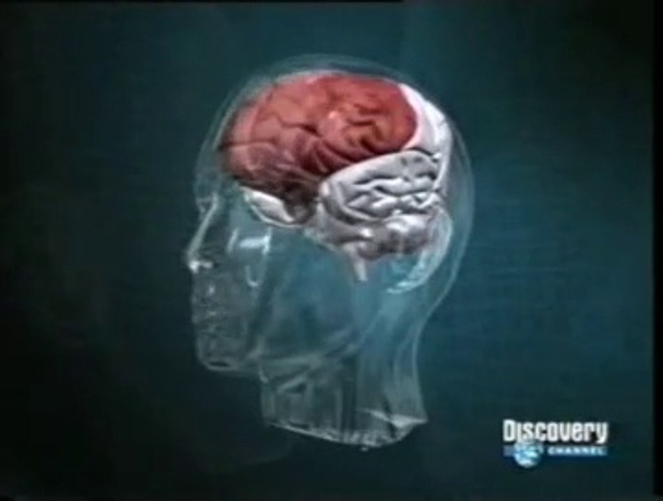 Etica y cerebro: Corteza orbitofrontal (Antonio Damasio)