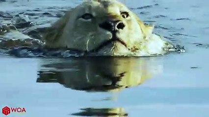 철원출장서비스 철원출장서비스O1OE2104E4640｛카톡MBM6｝ 철원출장마사지샵 철원출장안마on철원출장안마cos여3♪⇔∃마사지황형♥◙≪