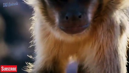 병점추천업소【OI0↔29O8↔68O③】병점추천업소예약♥≵≪