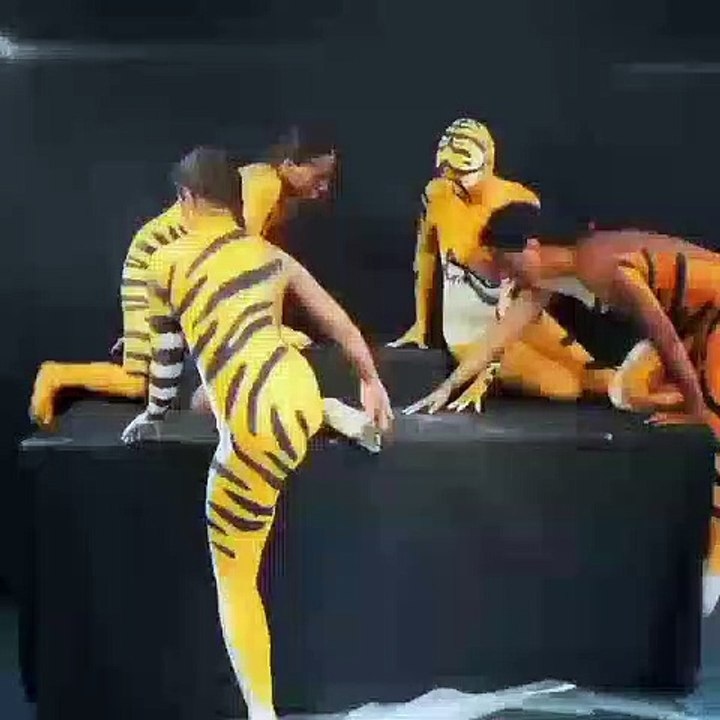 Entertainment video meke tiger