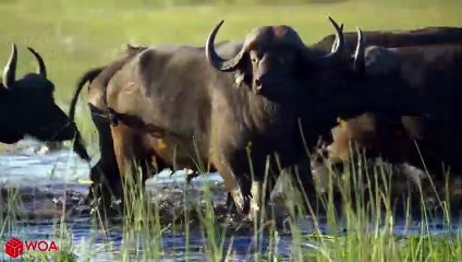 장성출장서비스 장성출장서비스O7Ox5180x1616 {카톡MS59}  장성출장마사지샵 장성출장안마on장성출장안마cos여3♪⇔∃마사지황형♥≹≪