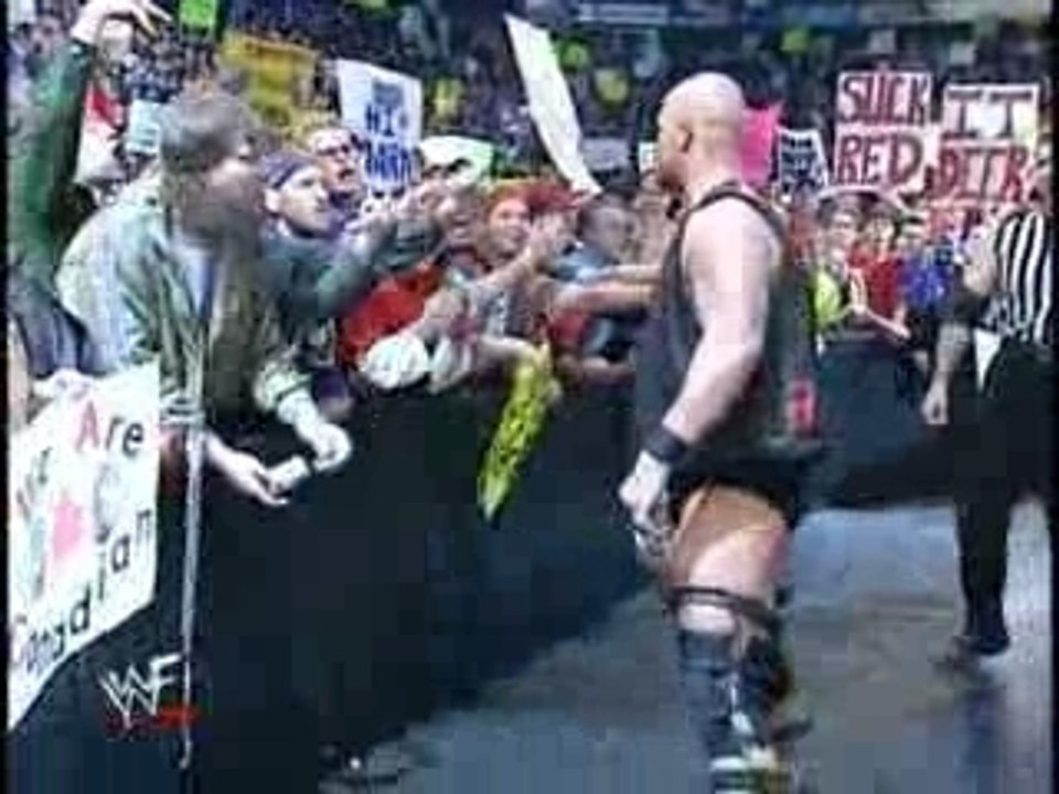 The Vicious Heel-Stone Cold Steve Austin