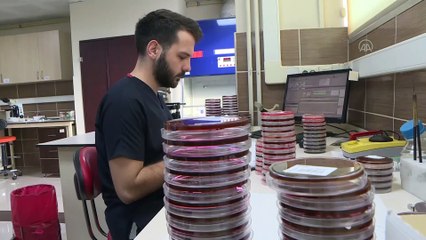 Bilim insanlarından 'maske kullanımını abartmayın' uyarısı - İZMİR