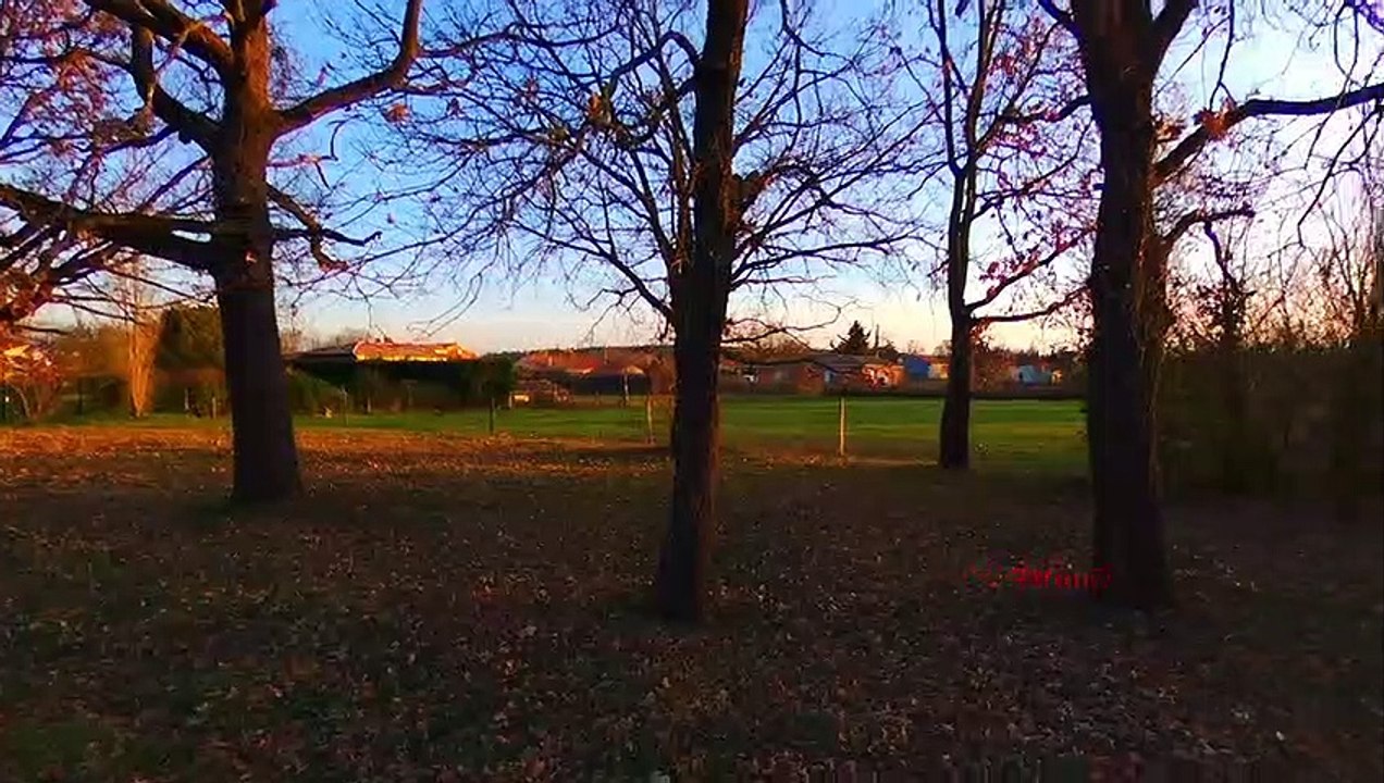 BeBop 2 Crash