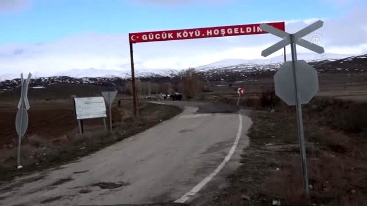 İdlib şehitleri anısına fidan dikildi