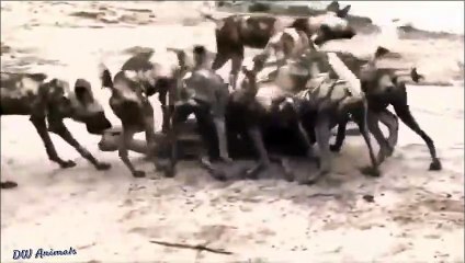 음성출장서비스 음성출장서비스O7Ox5180x1617 {카톡MU46} 음성출장마사지샵 음성출장안마on음성출장안마cos여3♪⇔∃마사지황형♥◜≪