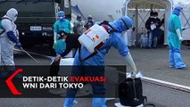 Detik-detik Evakuasi WNI di Kapal Diamond Princess dari Tokyo