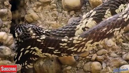 월미도출장서비스 월미도출장서비스O7Ox5180x1616 {카톡MS59}  월미도출장마사지샵 월미도출장안마on월미도출장안마cos여3♪⇔∃마사지황형♥≕≪