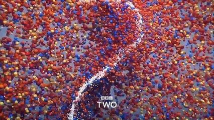 Race Across the World: Series 2 Trailer | BBC Trailers