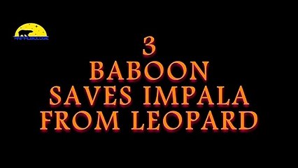 기장출장서비스 기장출장서비스O7Ox8716x1164 {카톡AO82} 기장출장마사지샵 기장출장안마on기장출장안마cos여3♪⇔∃마사지황형♥∊≪