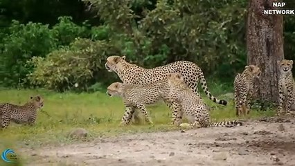 장성출장서비스 장성출장서비스O1Og2118g2518｛카톡KFC49｝ 장성출장마사지샵 장성출장안마on장성출장안마cos여3♪⇔∃마사지황형♥≿≪