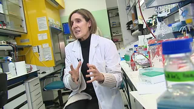 Los científicos buscan la vacuna del Coronavirus