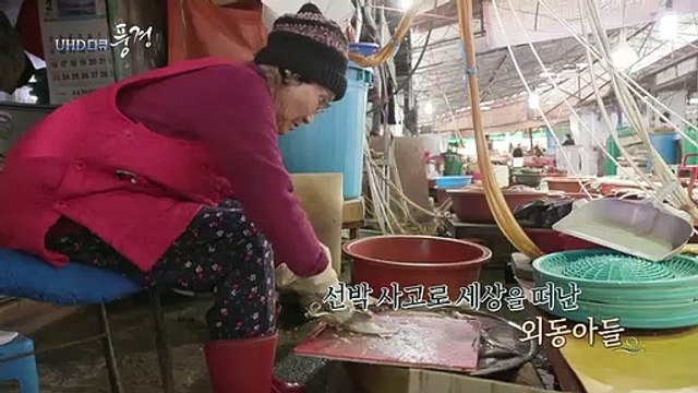 [UHD 다큐 풍경] 순국선열의 혼이 깃든 도시…화성