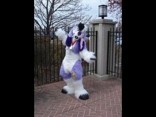 Qu'est ce qu'un furry, fursuit, confurence, yiff...?