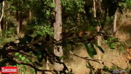 경북출장서비스 경북출장서비스O1Og2118g2518｛카톡KTX53｝ 경북출장마사지샵 경북출장안마on경북출장안마cos여3♪⇔∃마사지황형♥≦≪