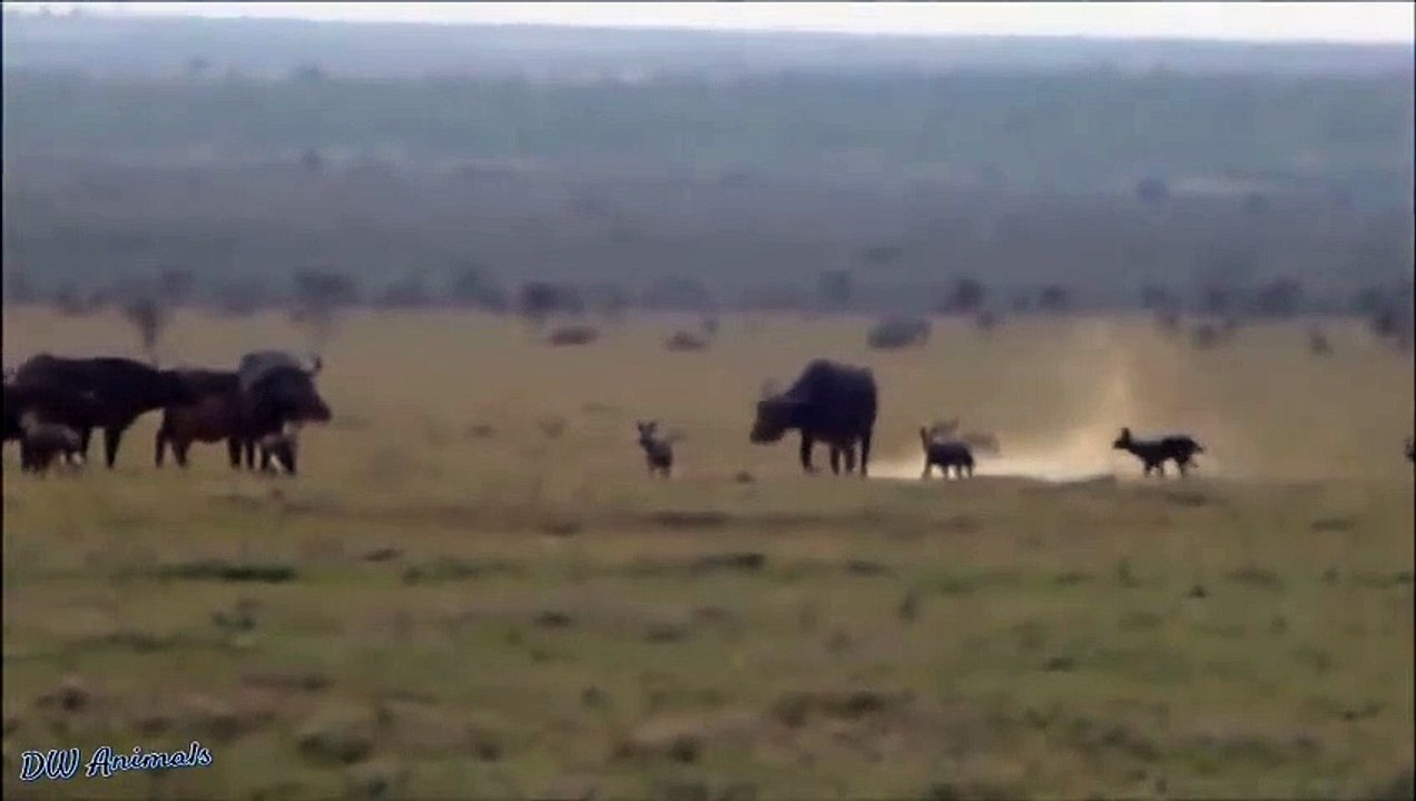 정선출장서비스 정선출장서비스O1OE2104E4640｛카톡MBM6｝ 정선출장마사지샵 정선출장안마on정선출장안마cos여3♪⇔∃마사지황형♥≠≪