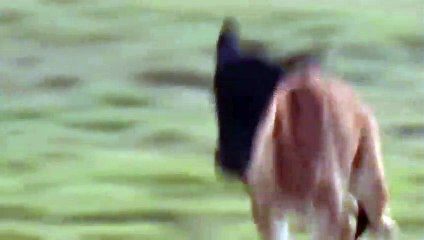 괴산출장서비스 괴산출장서비스O7Ox7575x0048 {카톡DI69} 괴산출장마사지샵 괴산출장안마on괴산출장안마cos여3♪⇔∃마사지황형♥◟≪