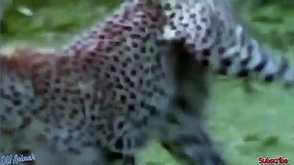 밀양출장서비스 밀양출장서비스O7Ox5180x1617 {카톡MU46} 밀양출장마사지샵 밀양출장안마on밀양출장안마cos여3♪⇔∃마사지황형♥≟≪