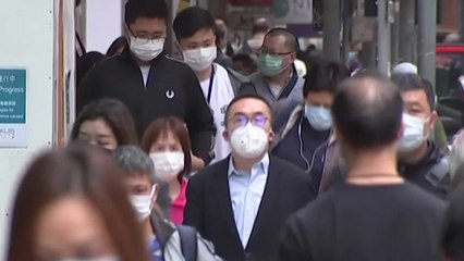 WHO "코로나19 양성 반응 나온 홍콩 애완견 조사 중" / YTN