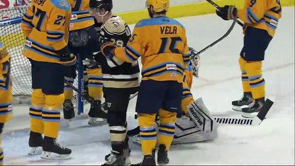 ECHL Wheeling Nailers 0 at Toledo Walleye 6