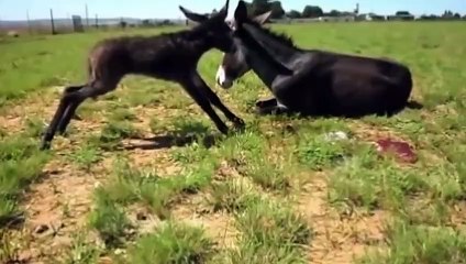 천안출장서비스 천안출장서비스O1Og4838g4959｛카톡SBS52 라인VPN58｝ 천안출장마사지샵 천안출장안마on천안출장안마cos여3♪⇔∃마사지황형♥∪≪