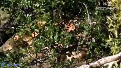 강릉출장서비스 강릉출장서비스O1Og2154g6609｛카톡LOT45｝ 강릉출장마사지샵 강릉출장안마on강릉출장안마cos여3♪⇔∃마사지황형♥◡≪