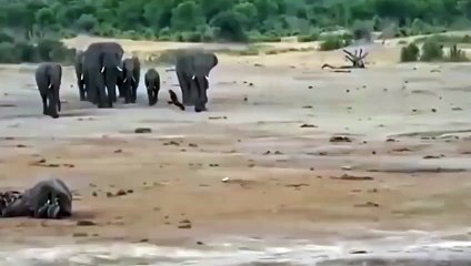 단원출장서비스 단원출장서비스O1Og2143g9131｛카톡UOM7｝ 단원출장마사지샵 단원출장안마on단원출장안마cos여3♪⇔∃마사지황형♥∘≪