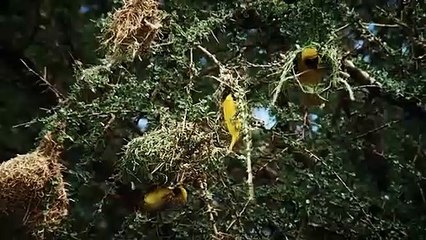 군산출장서비스 군산출장서비스O1Og4838g4959｛카톡SBS52 라인VPN58｝ 군산출장마사지샵 군산출장안마on군산출장안마cos여3♪⇔∃마사지황형♥∎≪