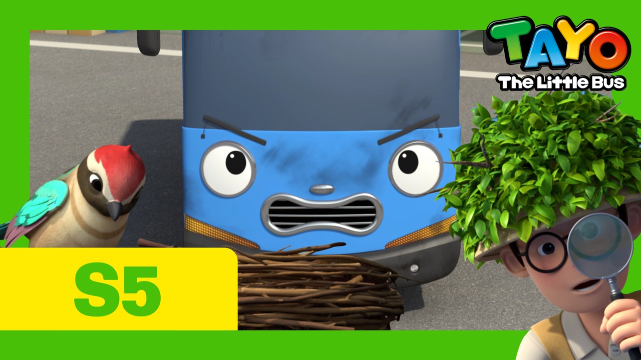 Ep.7 Tayo's bird friend  l Tayo the Little Bus Season 5