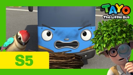 Ep.7 Tayo's bird friend  l Tayo the Little Bus Season 5