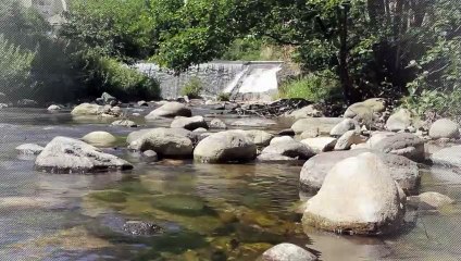 A vendre - Maison - MARCHEPRIME (33380) - 4 pièces - 100m²